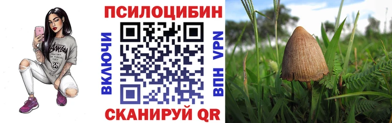Галлюциногенные грибы GOLDEN TEACHER  Купить закладки  Кандалакша 
